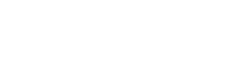 Citadel Logo